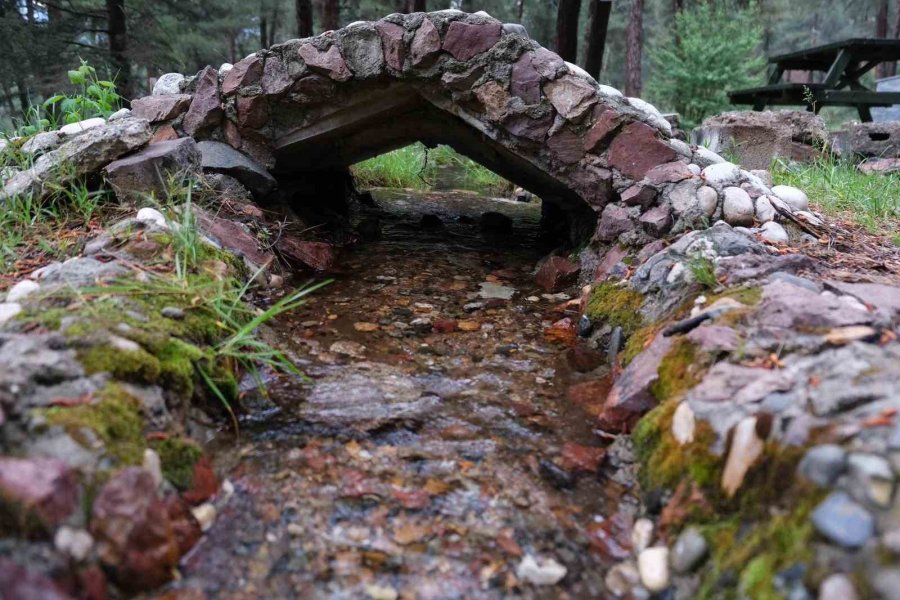 Doğa Tutkunları Laçin’de Kampın Ardından Çevredeki Çöpleri Topladı