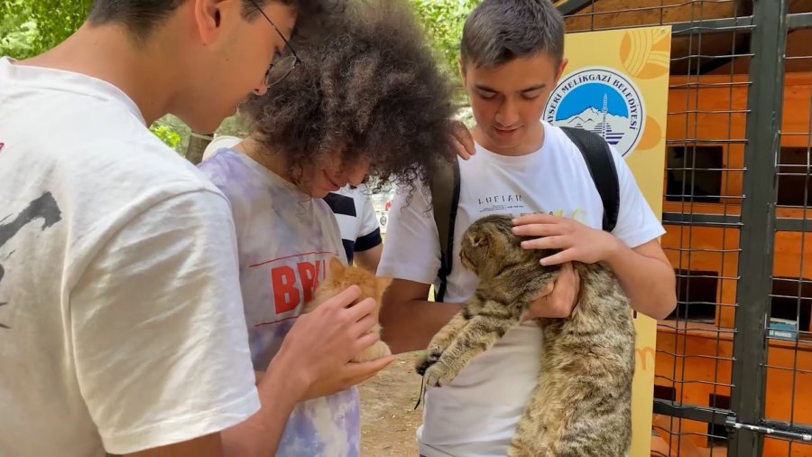 Melikgazi Sokaklardaki Can Dostlar İçin Kedi Evleri Yaptı