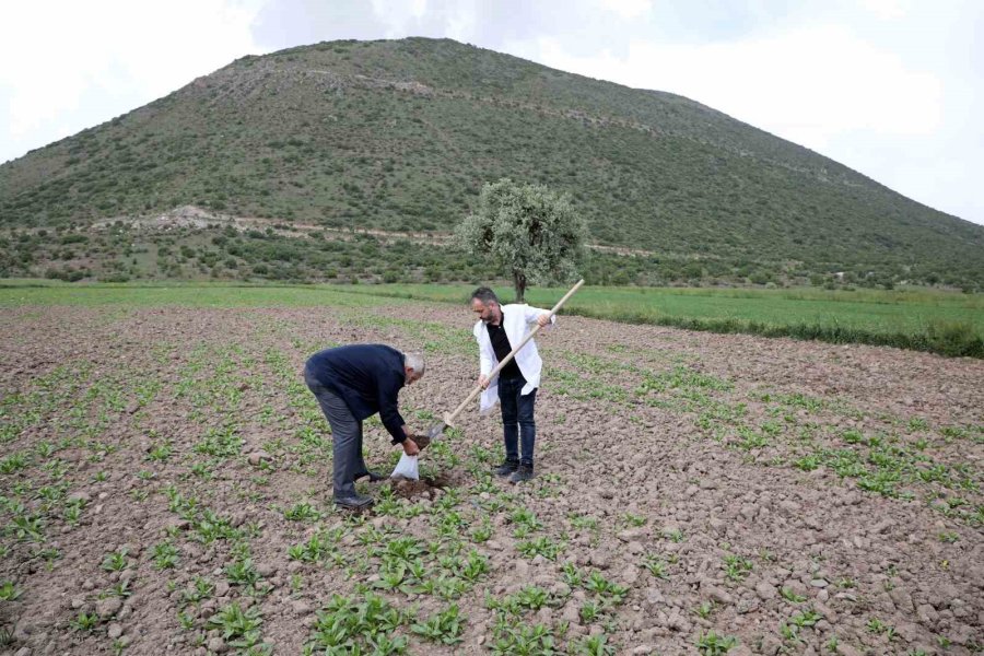 1.500 Çiftçinin Toprak Analizi Talas Belediyesi’nden