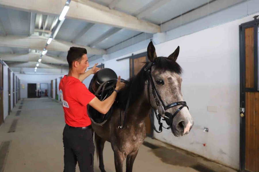 Kayserililer Büyükşehir’in "atlı Tur" Hizmetini Çok Sevdi