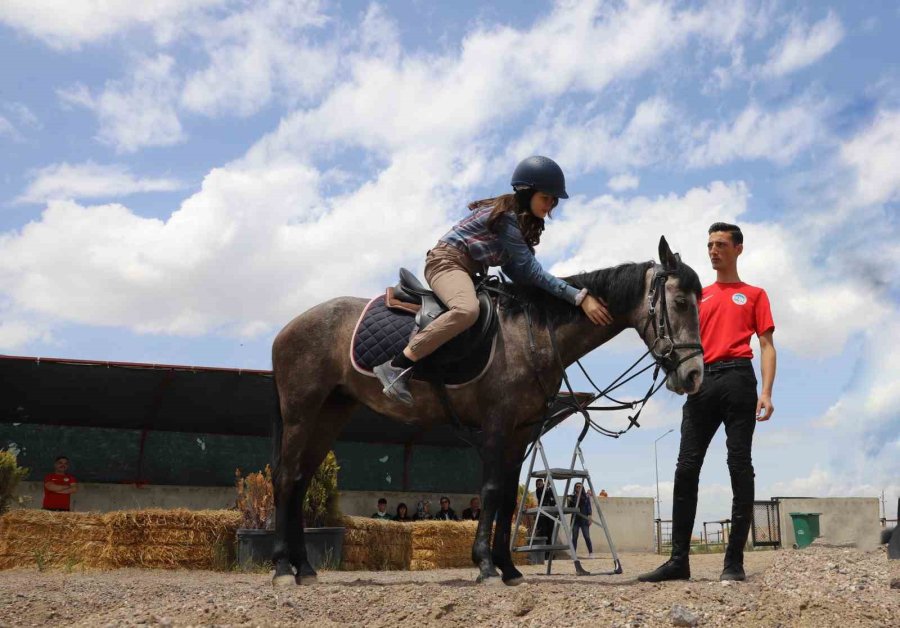 Kayserililer Büyükşehir’in "atlı Tur" Hizmetini Çok Sevdi