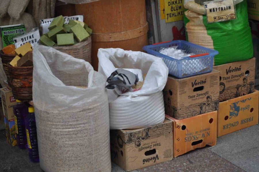 Fırsattan İstifade Eden Güvercinler Karınlarını Doyurdu