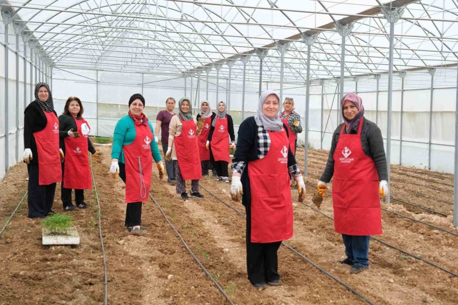 Kadın Eli Toprağa Değdi