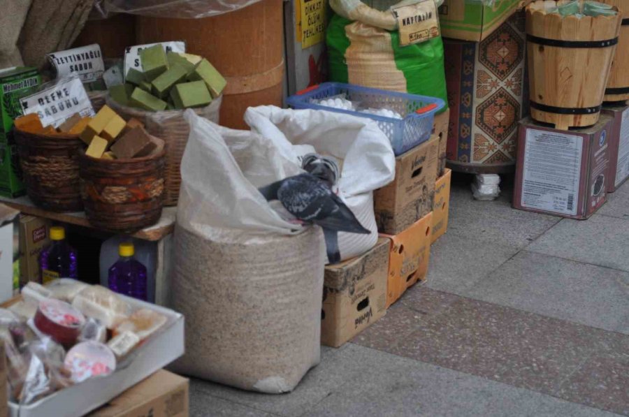 Fırsattan İstifade Eden Güvercinler Karınlarını Doyurdu