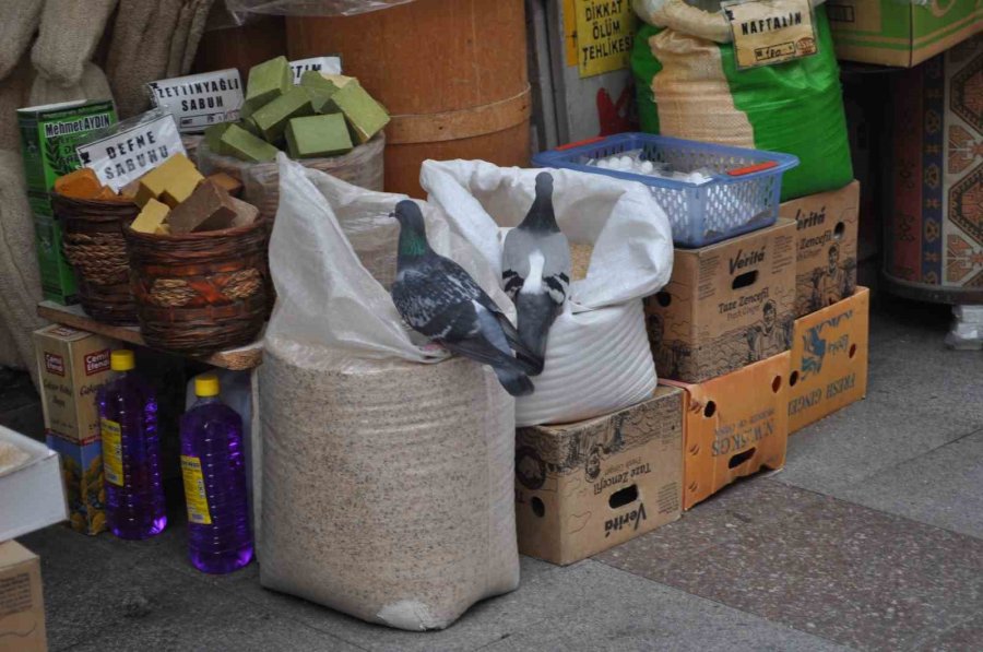 Fırsattan İstifade Eden Güvercinler Karınlarını Doyurdu