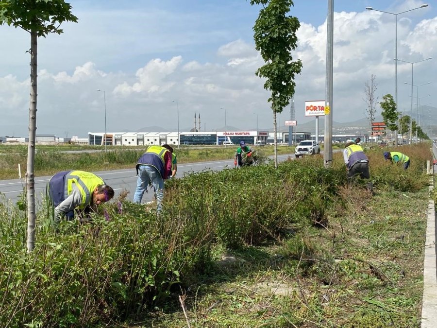 Kayseri’de Yabancı Otlarla Mücadele