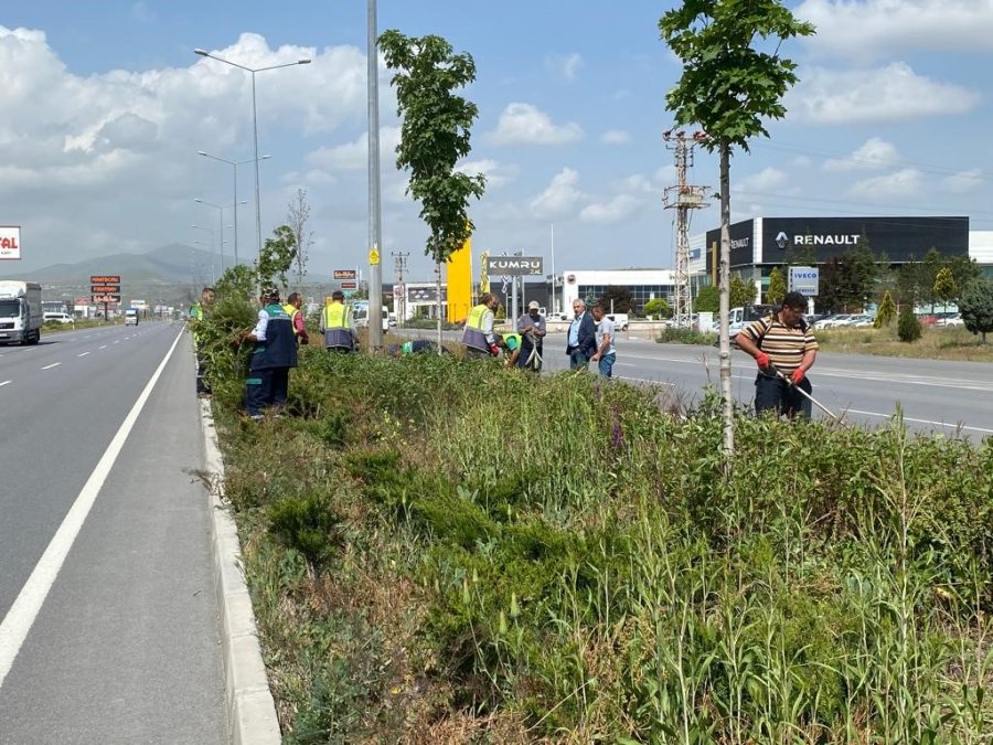 Kayseri’de Yabancı Otlarla Mücadele