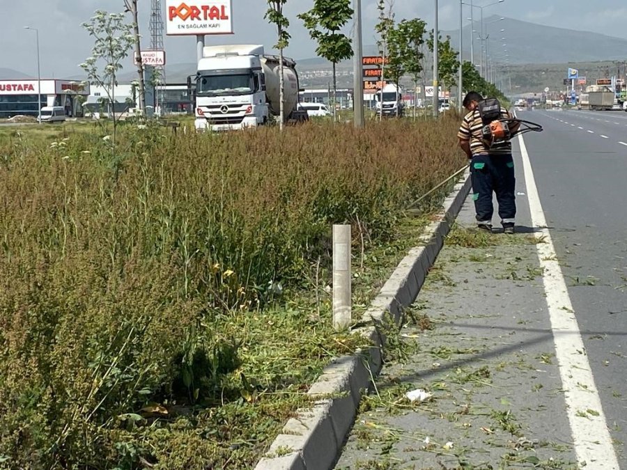 Kayseri’de Yabancı Otlarla Mücadele
