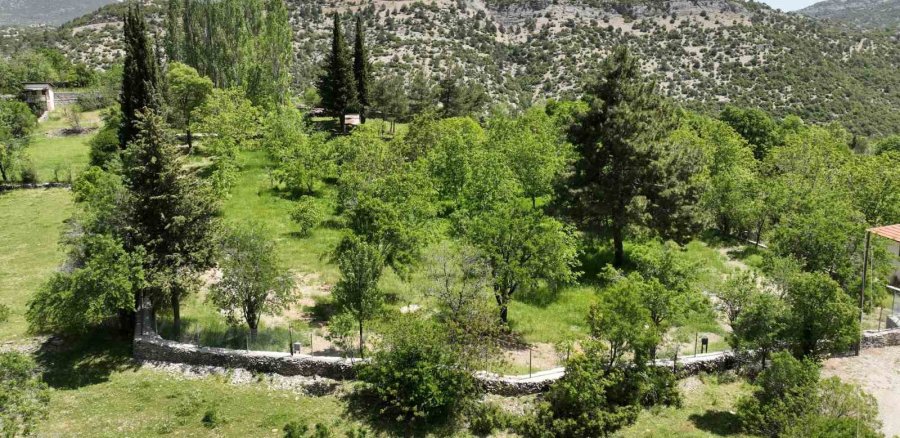 Büyükşehir Belediyesi Ormana’ya Kamp Ve Karavan Alanı Kazandırıyor