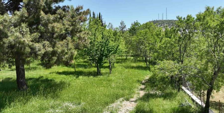 Büyükşehir Belediyesi Ormana’ya Kamp Ve Karavan Alanı Kazandırıyor