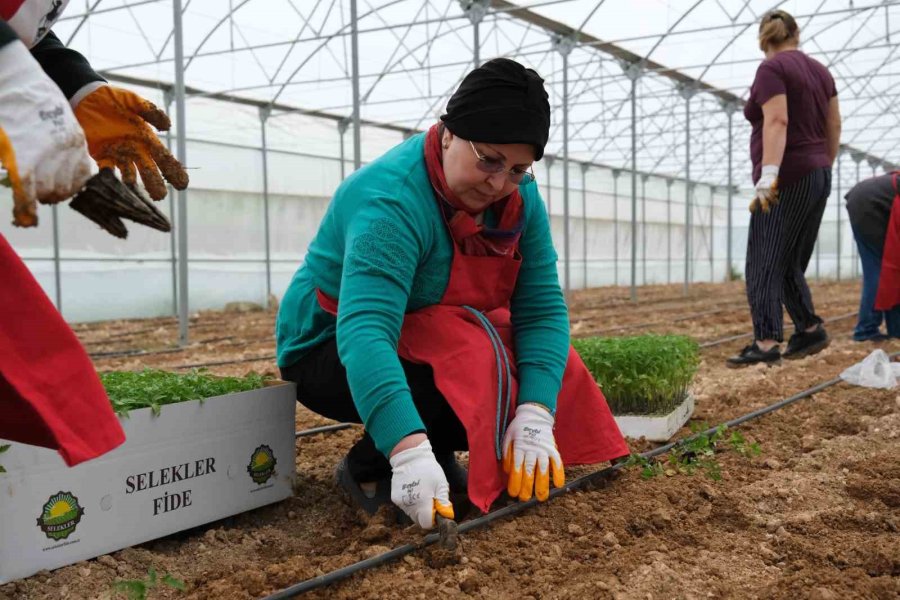 Kadın Eli Toprağa Değdi