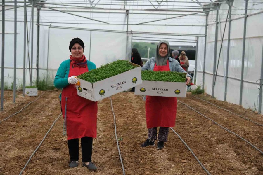 Kadın Eli Toprağa Değdi