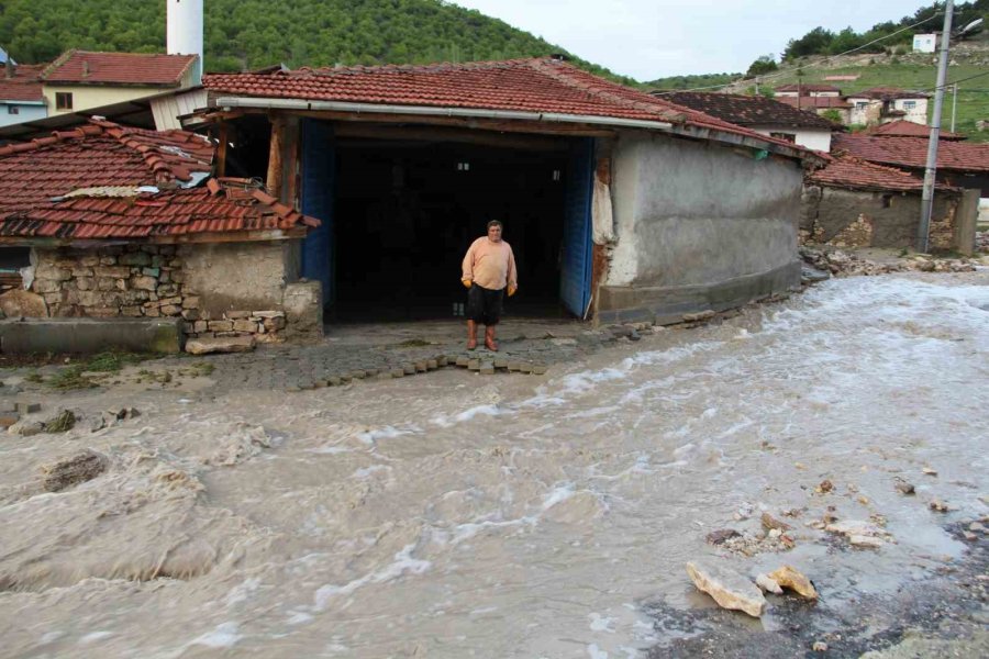 Sel Felaketinde 3 Ev Yıkıldı, Çok Sayıda Hayvan Telef Oldu