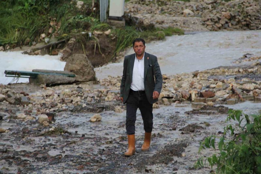 Sel Felaketinde 3 Ev Yıkıldı, Çok Sayıda Hayvan Telef Oldu