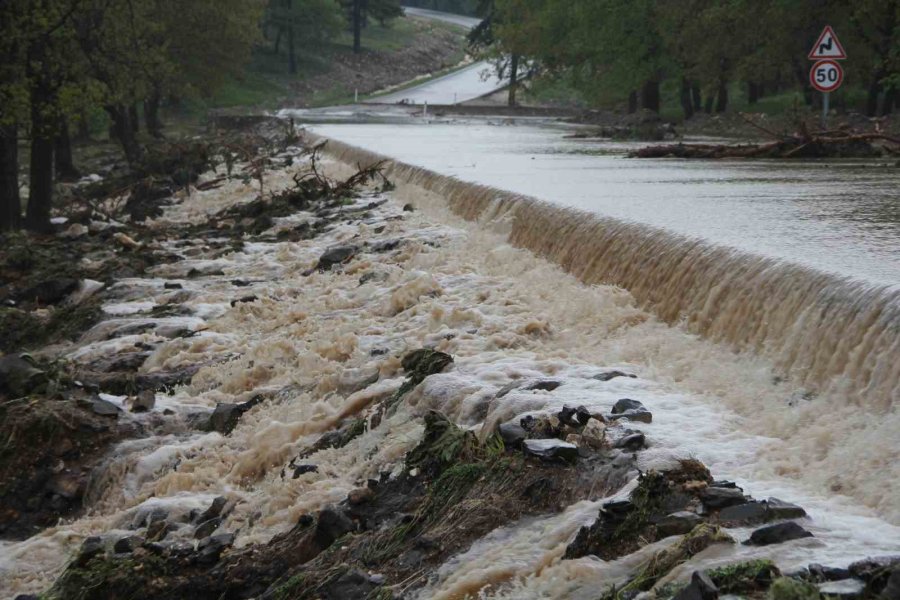 Sel Felaketinde 3 Ev Yıkıldı, Çok Sayıda Hayvan Telef Oldu