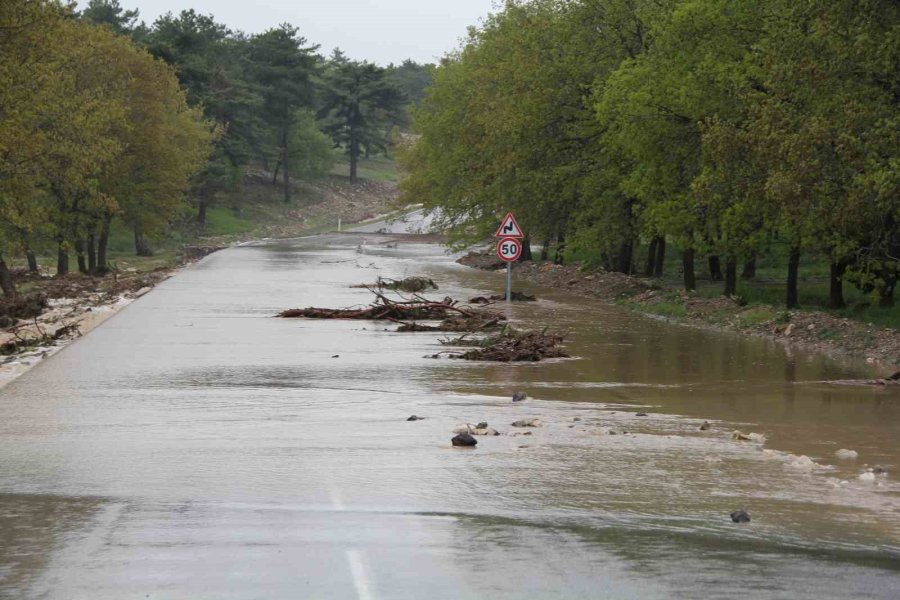 Sel Felaketinde 3 Ev Yıkıldı, Çok Sayıda Hayvan Telef Oldu