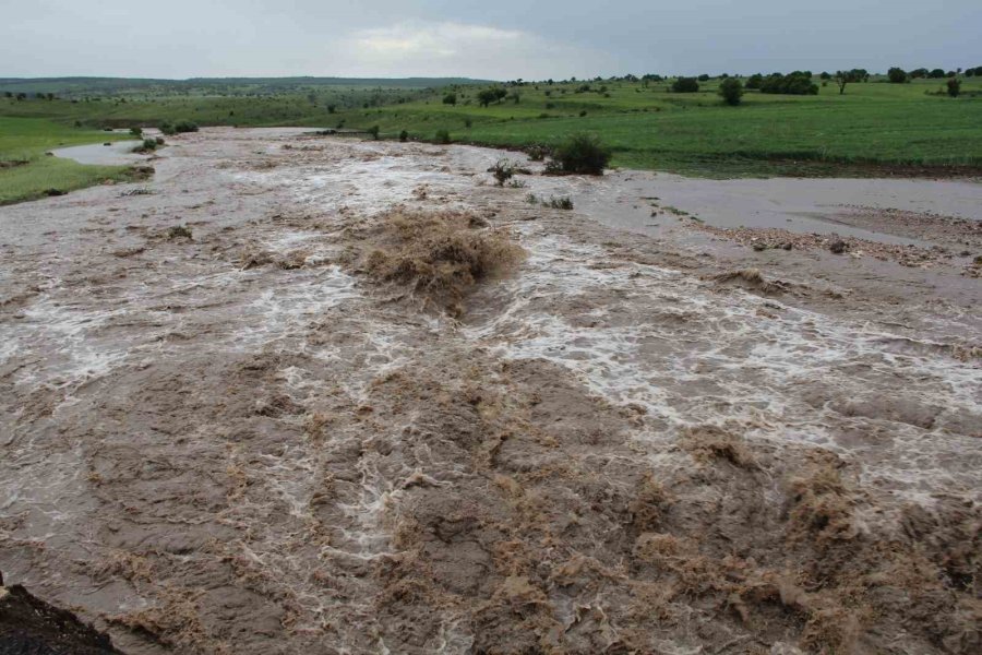 Sel Felaketinde 3 Ev Yıkıldı, Çok Sayıda Hayvan Telef Oldu