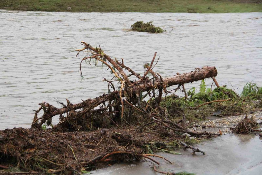 Sel Felaketinde 3 Ev Yıkıldı, Çok Sayıda Hayvan Telef Oldu