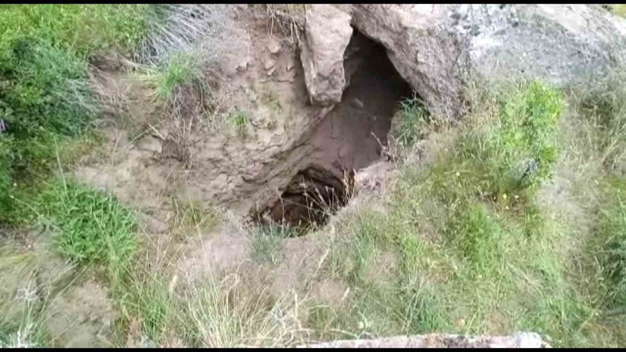 Definecilerin Kazdığı Çukurda Mahsur Kalan Kaplumbağalar Kurtarılmayı Bekliyor