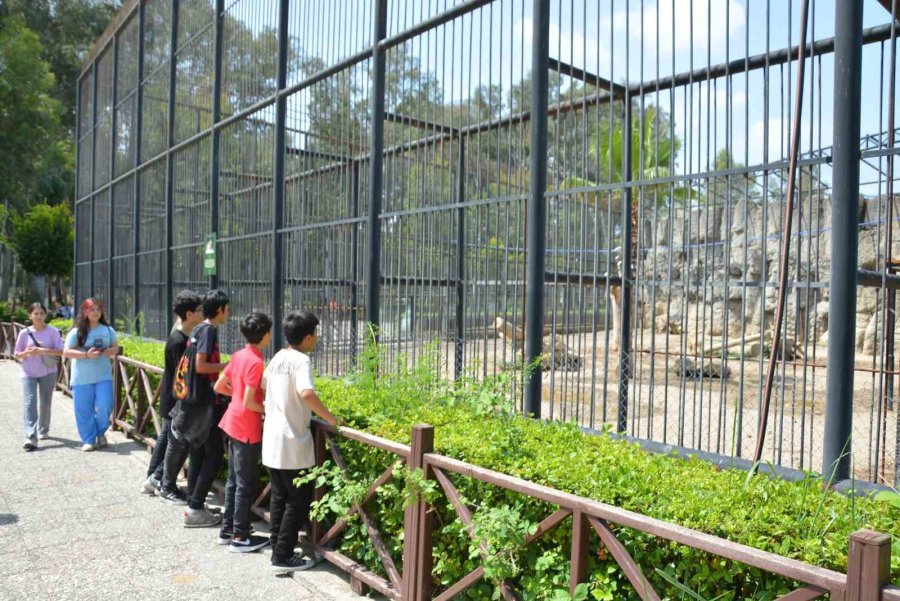 Öğrenciler Lgs Öncesi Tarsus Doğa Parkında Stres Attı