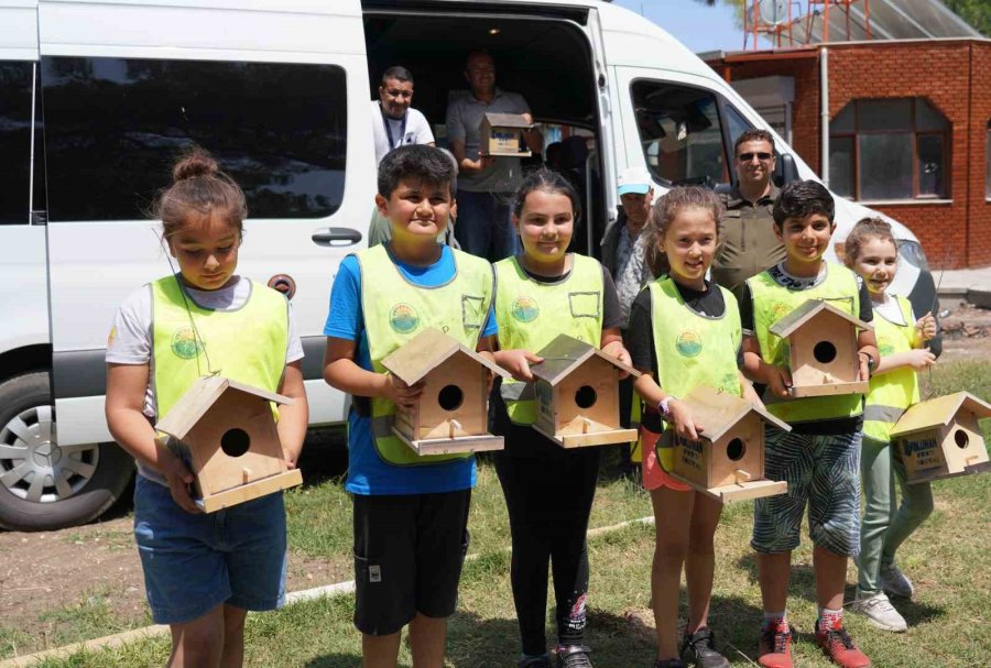 Doğadaki Kuşlara Özel Yuva