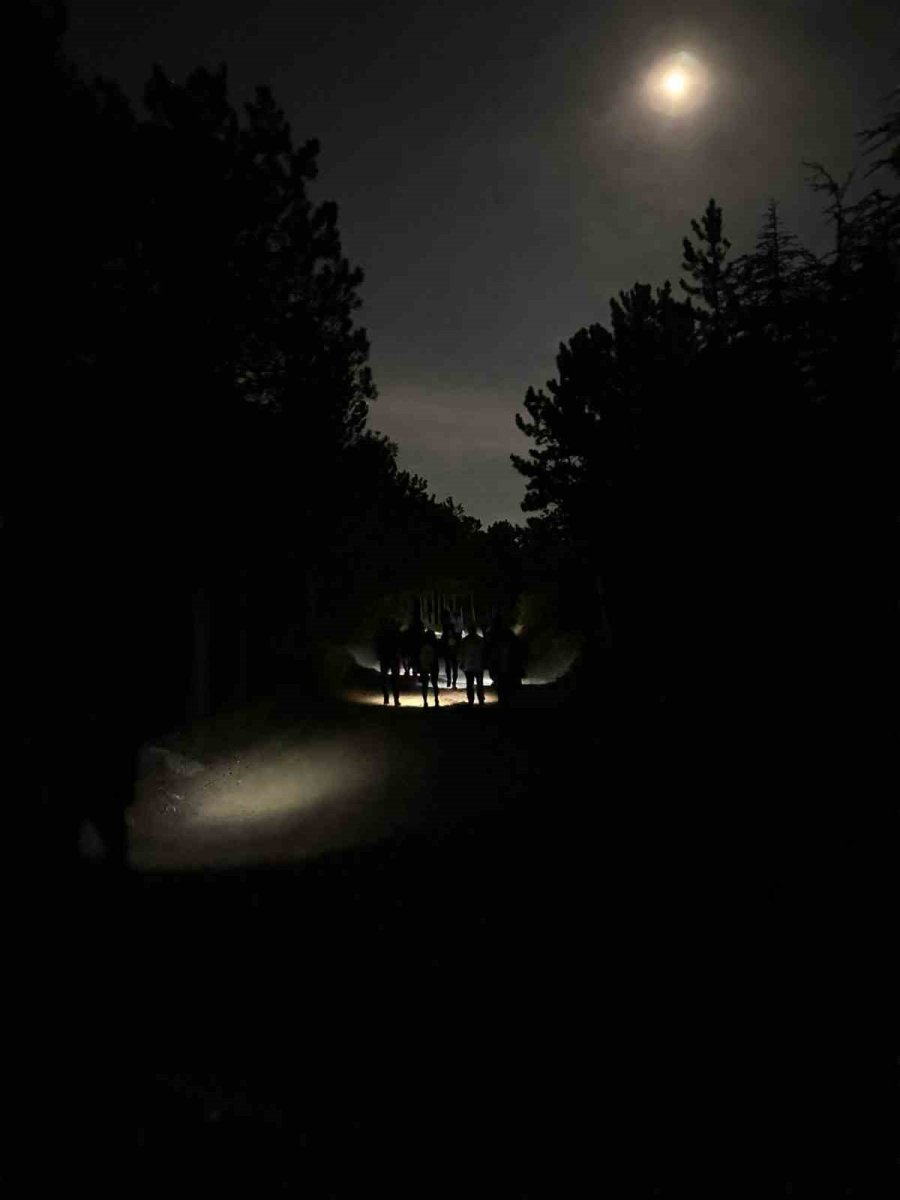 Dolunay Işığında Yürüyüp Çöp Topladılar