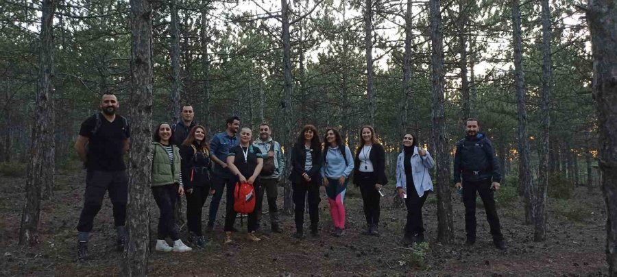 Dolunay Işığında Yürüyüp Çöp Topladılar