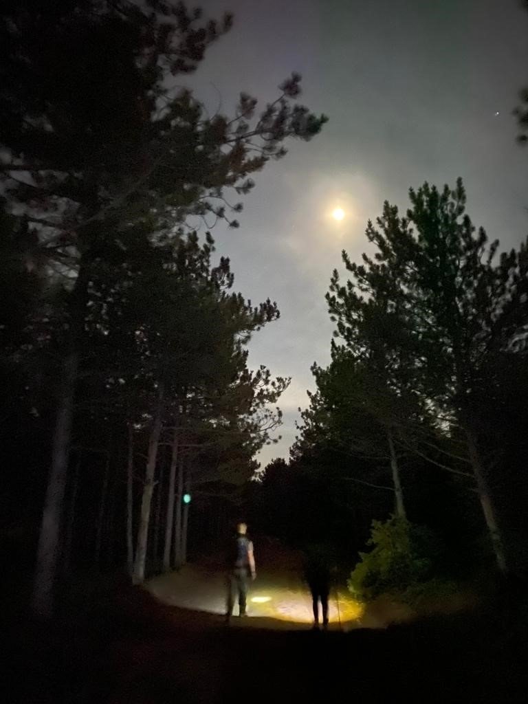 Dolunay Işığında Yürüyüp Çöp Topladılar