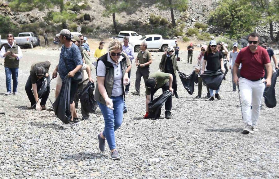 Caretta Carettaların Yuva Çevresine Güvenlik Amacıyla Kafes Yerleştirildi