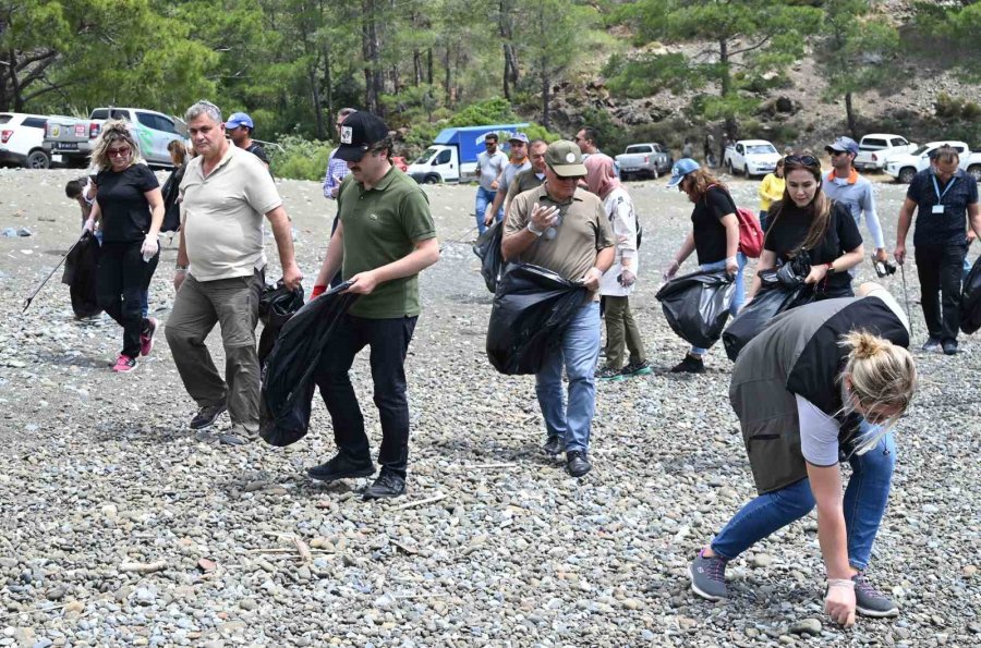 Caretta Carettaların Yuva Çevresine Güvenlik Amacıyla Kafes Yerleştirildi