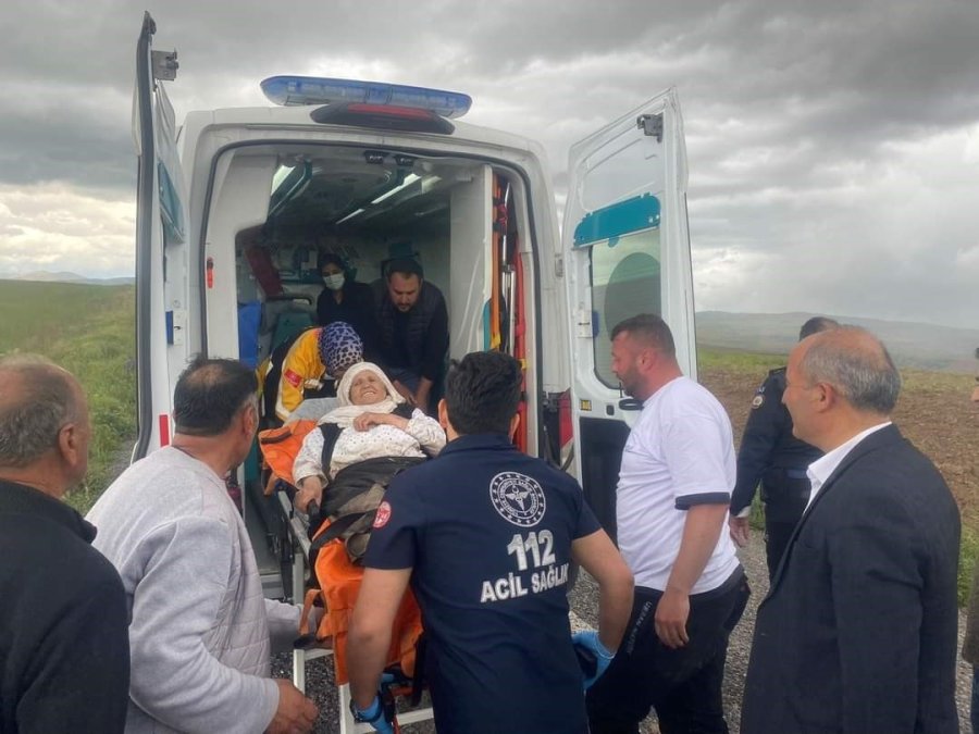 Ot Toplamaya Çıktıktan Sonra Kaybolan Menşure Teyzeden 2 Gün Sonra Sevindiren Haber