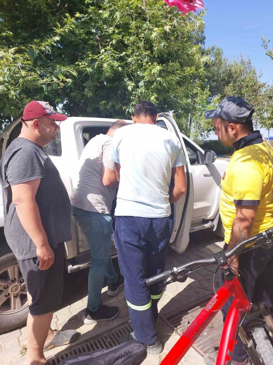 Tarsus’ta Köprü Altındaki Yavru 8 Köpek Kurtarıldı