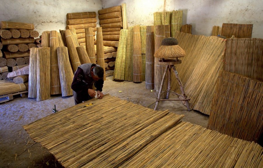 Sultan Sazlığı’nın Doğal Ve Ekonomik Zenginliği Kamışlar