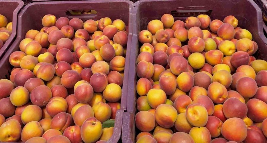 Mersin’de Kayısının Kilosu 8 Liraya Kadar Düştü