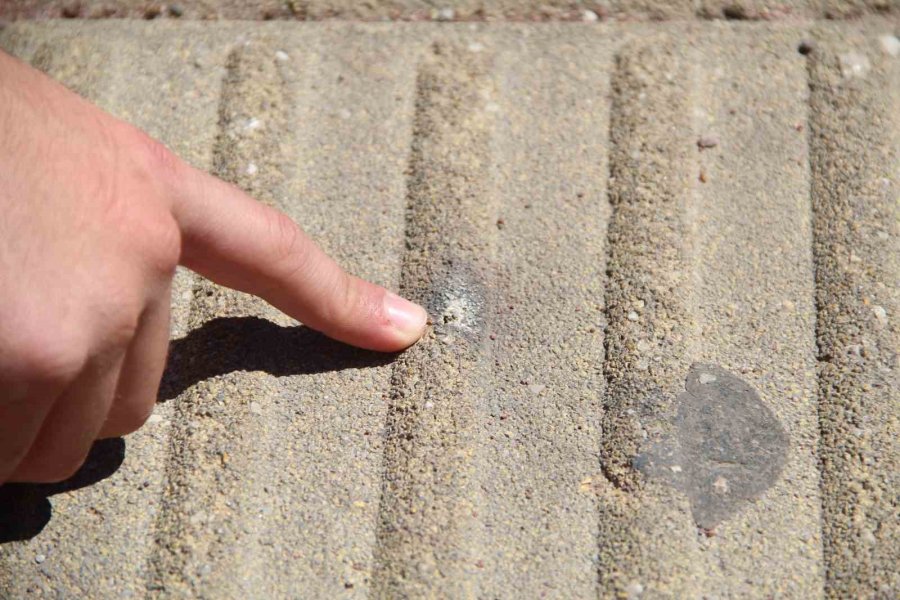 Elektrik Teline Konan Papağanı Kurtarmak İsteyen Gençten Acı Haber