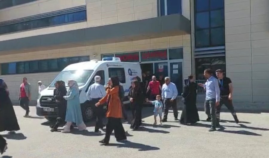 Elektrik Teline Konan Papağanı Kurtarmak İsteyen Gençten Acı Haber