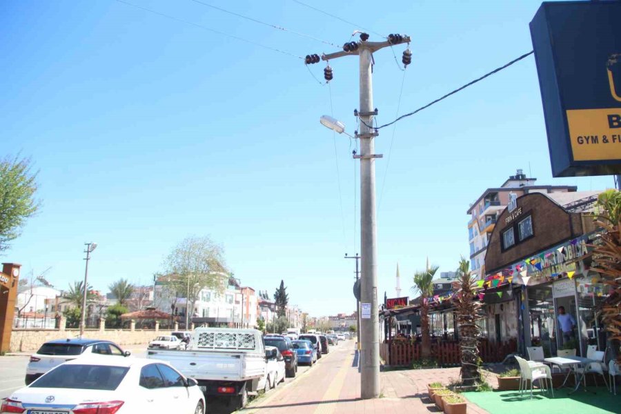 Elektrik Teline Konan Papağanı Kurtarmak İsteyen Gençten Acı Haber