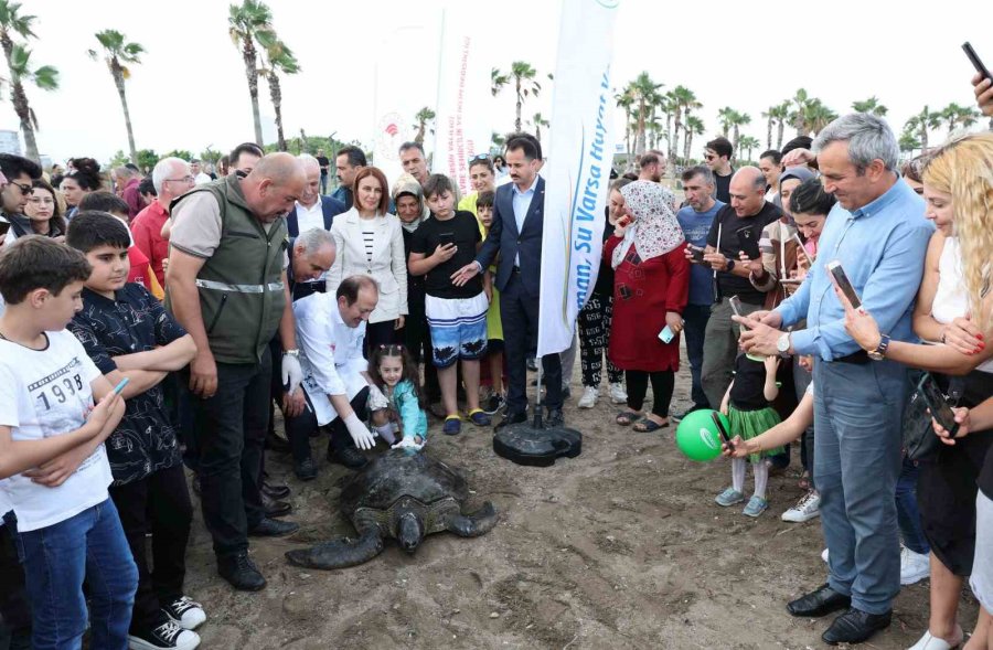 Tedavileri Tamamlanan Deniz Kaplumbağaları Denize Bırakıldı