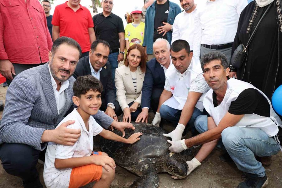 Tedavileri Tamamlanan Deniz Kaplumbağaları Denize Bırakıldı
