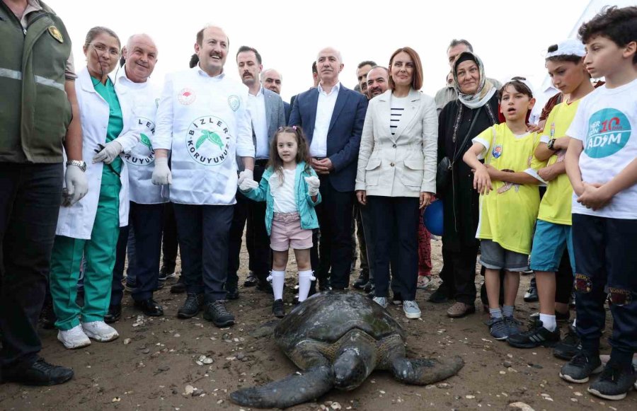 Tedavileri Tamamlanan Deniz Kaplumbağaları Denize Bırakıldı