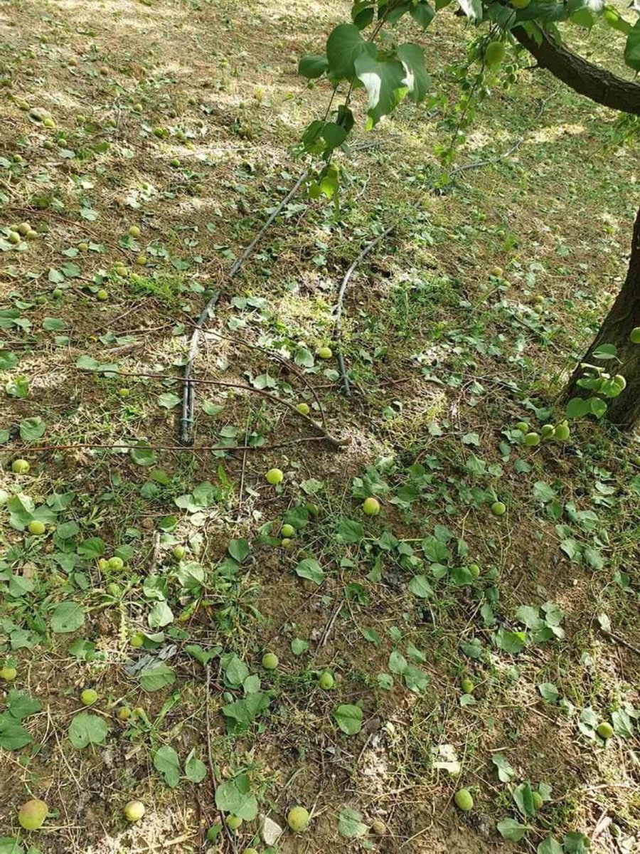 Mersin’de Sağanak Ve Dolu Yağışı Bahçe Ve Yollara Zara Verdi