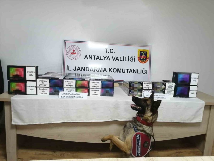 Antalya’da Jandarmadan Uyuşturucuya Geçit Yok