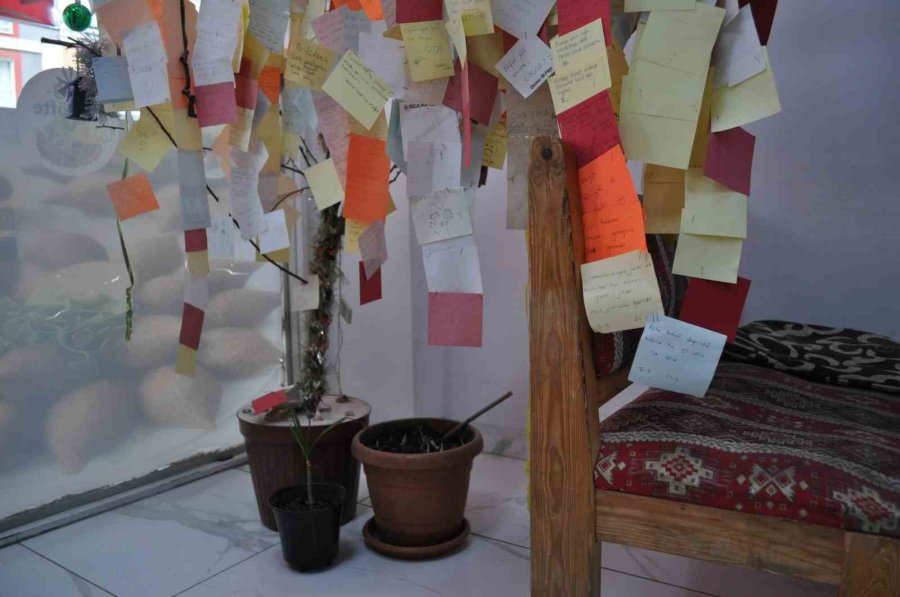 Bu Ağaç Müşterilerin Bıraktığı Notlarla Yeşeriyor