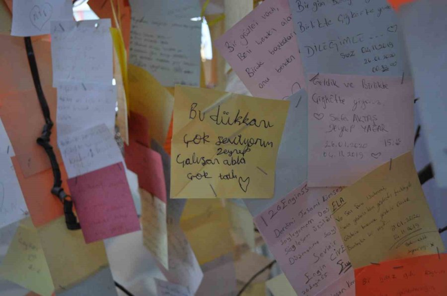 Bu Ağaç Müşterilerin Bıraktığı Notlarla Yeşeriyor