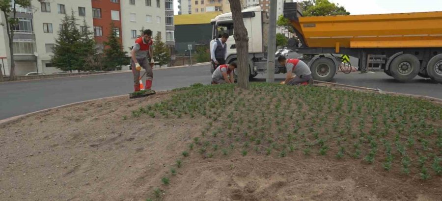 Melikgazi’de Kavşaklar Çiçeklerle Süslendi
