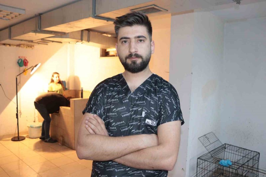 Zifte Yapışan Yavru Köpekler Hayata Dönüyor