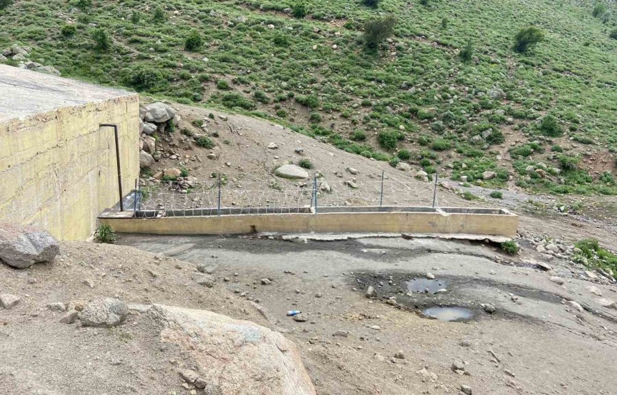 Karaman’da Yılkı Atlarını Yakalamaya Çalışan 2 Kişi Yakaladı