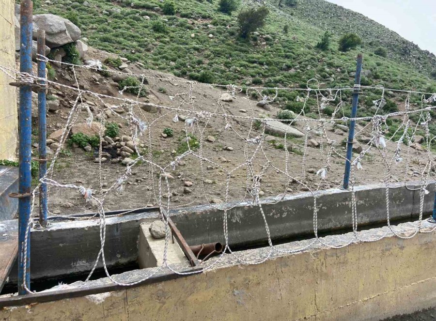 Karaman’da Yılkı Atlarını Yakalamaya Çalışan 2 Kişi Yakaladı