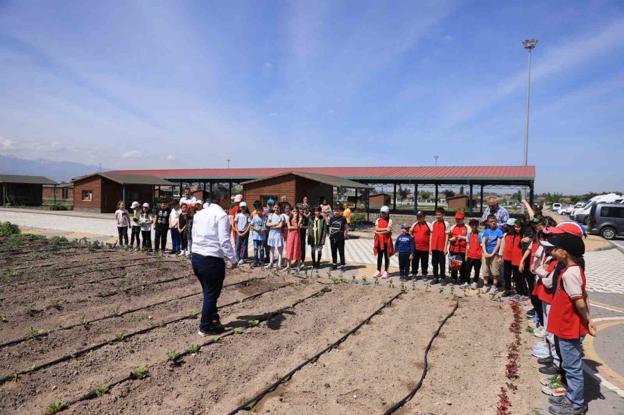 Büyükşehir’in Doğal Ürünler Bahçesi Minkleri Ağırladı