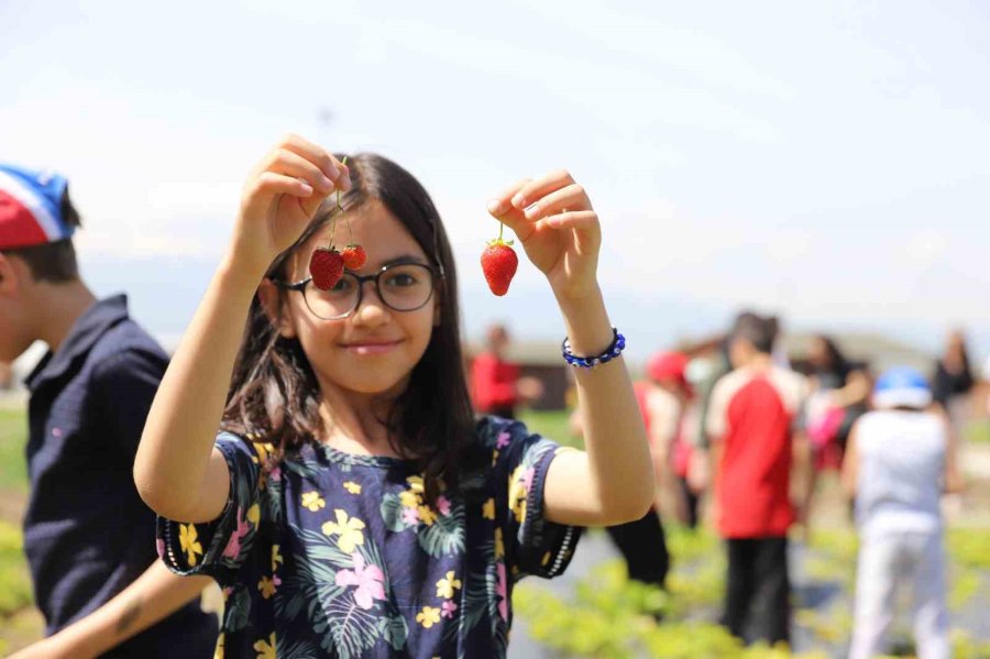 Büyükşehir’in Doğal Ürünler Bahçesi Minkleri Ağırladı